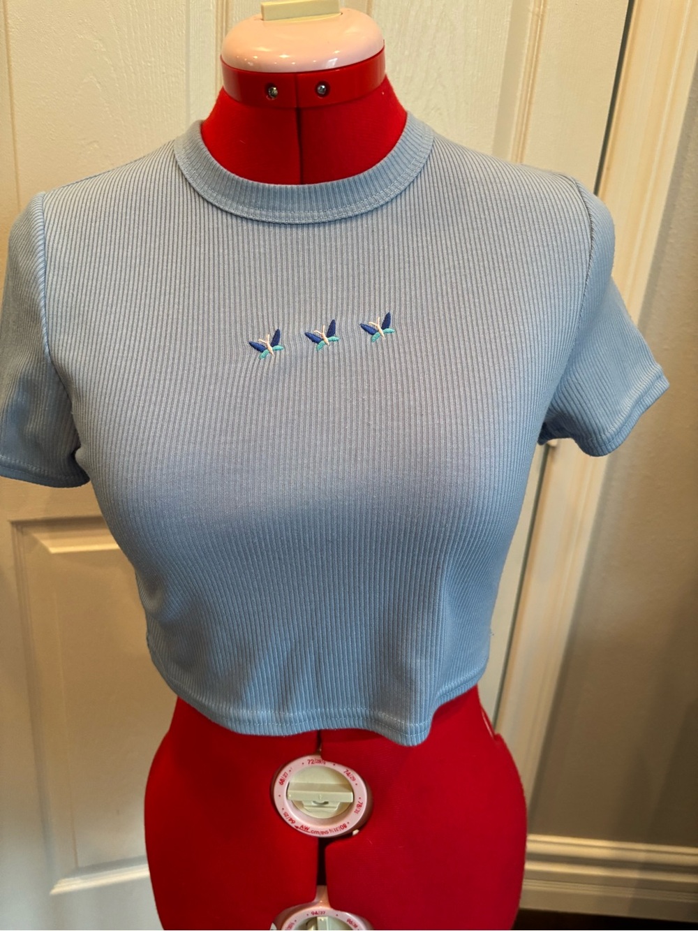 PrettyLittleThing Light Blue Ribbed Cropped Tee with Triple Embroidery